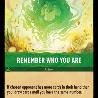 Remember Who You Are  ·  Shimmering Skies 97