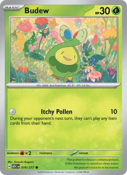 Budew · Ascended Heroes 016