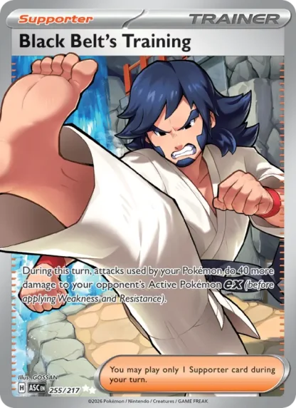Black Belt's Training · Ascended Heroes 255
