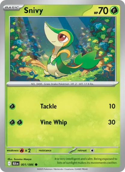 Snivy · Black Bolt 001