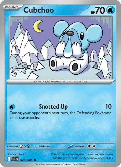 Cubchoo · Black Bolt 025
