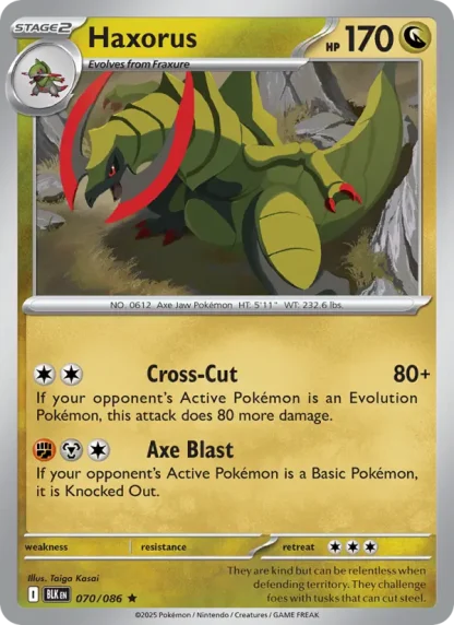 Haxorus · Black Bolt 070