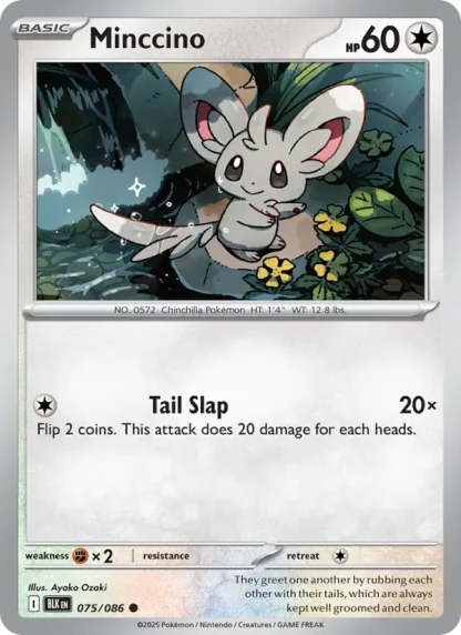 Minccino · Black Bolt 075