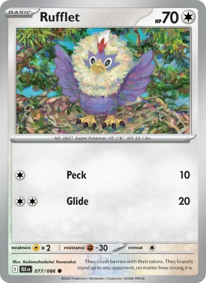 Rufflet · Black Bolt 077