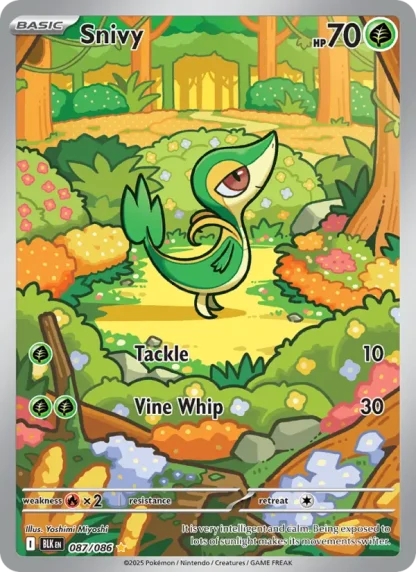 Snivy · Black Bolt 087