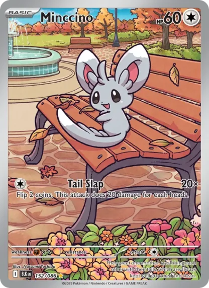 Minccino · Black Bolt 152
