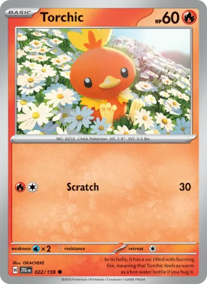 Torchic · Journey Together 022