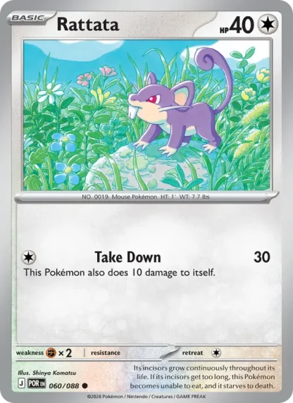 Rattata · Perfect Order 060