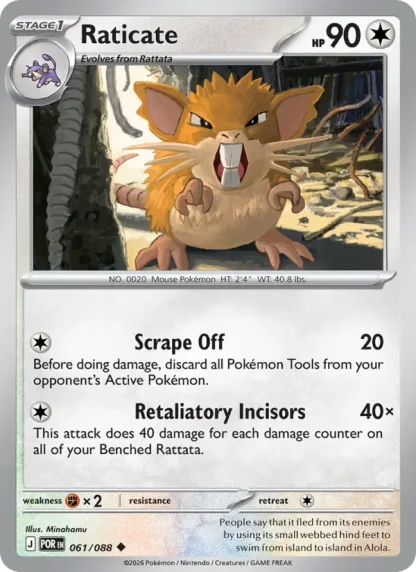 Raticate · Perfect Order 061