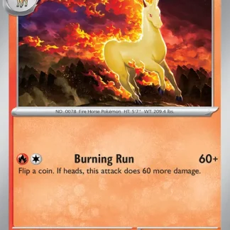 Rapidash  ·  Stellar Crown 020
