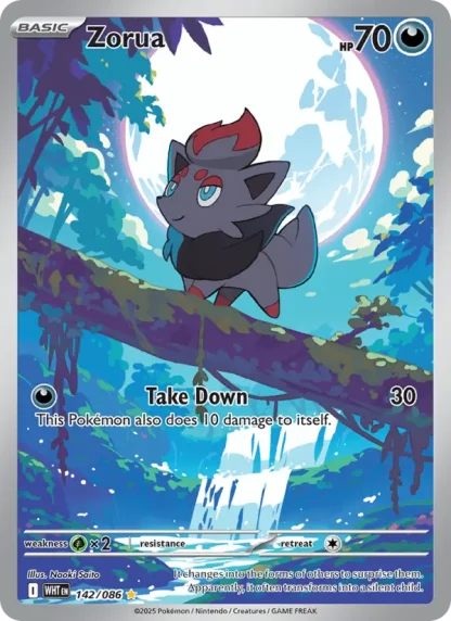 Zorua · White Flare 142